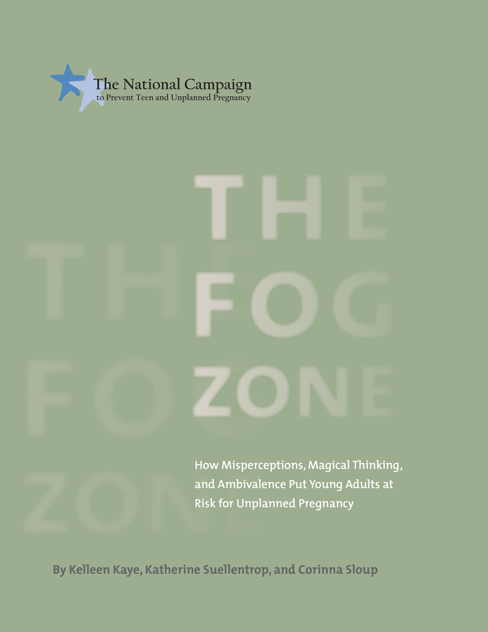 The Fog Zone: How Misperceptions, Magical Thinking, and Ambivalence Put Young Adults at Risk for Unplanned Pregnancy—Full Report